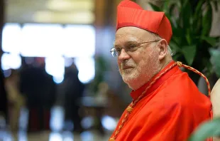 Der Stockholmer Kardinal Anders Arborelius beim Konsistorium im Petersdom am 28. Juni 2017 / CNA Deutsch / Daniel Ibanez