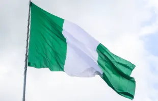 Nigerianische Flagge / jbdodane / Flickr (CC BY-NC 2.0)