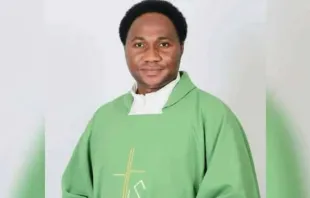 Pfarrer Matthew Dajo war am 22. November in der Erzdiözese Abuja (Nigeria) entführt worden. / (CC0) 