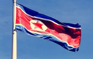 Fahne Nordkoreas / Shutterstock/Katherine Welles