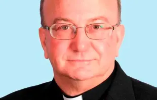 Bischof Francisco Simón Conesa Ferrer, der am 3. Januar 2021 zum Bischof von Solsona ernannt wurde. / CEE