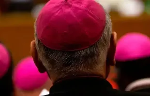 Bischof / Daniel Ibáñez / ACI Prensa