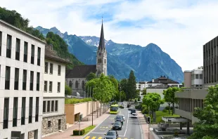 Die Kathedrale St. Florin in Vaduz (Fürstentum Liechtenstein). / Ondrej Bocek / Unsplash (CC0)  