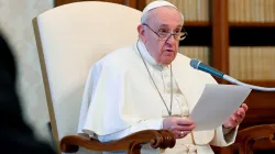 Papst Franziskus spricht bei der digitalen Generalaudienz am 21. April 2021 / Vatican media 