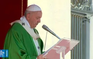 Papst Franziskus bei der Predigt / Screenshot Youtube