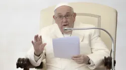 Papst Franziskus (Archiv) / Daniel Ibáñez / CNA Deutsch