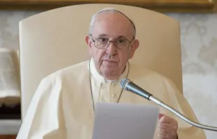 Papst Franziskus spricht bei der digitalen Generalaudienz / Vatican Media / CNA Deutsch