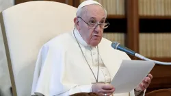 Papst Franziskus bei der Übertragung der Generalaudienz aus dem Apostolischen Palast im Vatikan / Vatican Media / CNA Deutsch