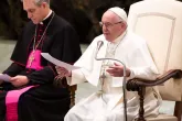 Gott handelt inmitten unseres scheinbaren Versagens, versichert Papst Franziskus