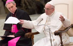 Papst Franziskus bei der Generalaudienz am 10. Januar 2018 / CNA / Daniel Ibanez