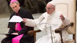 Papst Franziskus bei der Generalaudienz am 10. Januar 2018 / CNA / Daniel Ibanez