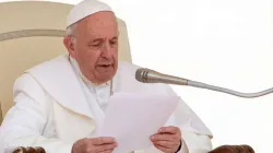 Papst Franziskus bei der Generalaudienz am 22. Mai 2019 / Daniel Ibanez / CNA Deutsch