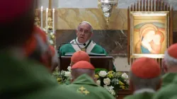 Papst Franziskus predigt bei der Messe zu seinem 25-jährigen Bischofsjubiläum am 27. Juni 2016 / CNA / L'Osservatore Romano