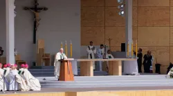 Papst Franziskus predigt im O'Higgins-Park von Santiago am 16. Januar 2018. / CNA / David Ramos