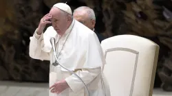 Papst Franziskus, 7. Dezember 2022 / Daniel Ibáñez / CNA Deutsch
