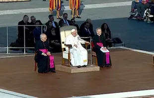 Papst Franziskus, 12. Oktober 2022 / screenshot / YouTube / Vatican Media