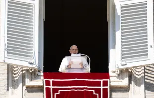 Papst Franziskus / Vatican Media