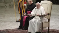 Papst Franziskus spricht bei der Generalaudienz am 28. Oktober 2020 / Pablo Esparza / CNA Deutsch