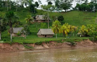 Amazonas-Ufer in Peru / Rafal Cichawa/Shutterstock.