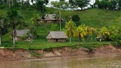 Amazonas-Ufer in Peru / Rafal Cichawa/Shutterstock.