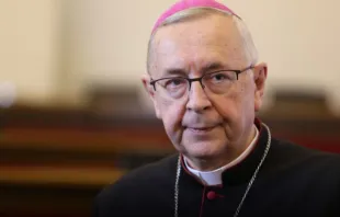 Erzbischof Stanisław Gądecki ist Präsident der polnischen Bischofskonferenz  / Episkopat.pl 