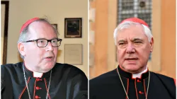 Kardinäle Eijk (links) und Müller / CNA Deutsch / Petrik Bohumil / Daniel Ibanez