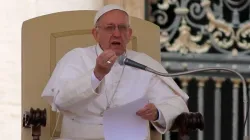 Papst Franziskus bei der Generalaudienz am 22. Mai 2015 / Stephen Driscoll / CNA Deutsch