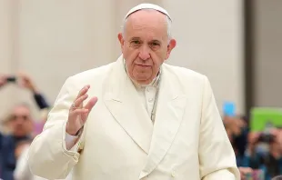 Papst Franziskus begrüßt Pilger auf dem Petersplatz am 18. November 2015. / CNA/Daniel Ibanez