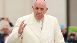 Papst Franziskus begrüßt Pilger auf dem Petersplatz am 18. November 2015. / CNA/Daniel Ibanez