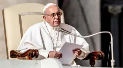 Papst Franziskus bei der Generalaudienz am 7. November 2018 / Daniel Ibanez / CNA Deutsch