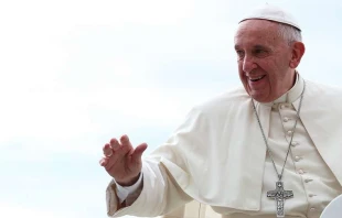 Papst Franziskus / CNA / Daniel Ibanez