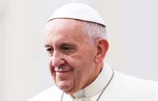 Papst Franziskus / CNA/Daniel Ibanez