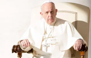 Papst Franziskus bei der Generalaudienz am 25. Oktober 2017 / CNA / Daniel Ibanez