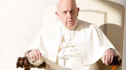 Papst Franziskus bei der Generalaudienz am 25. Oktober 2017 / CNA / Daniel Ibanez