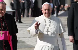 Papst Franziskus begrüßt Pilger bei der Generalaudienz am 29. November 2014. / CNA/Petrik Bohumil