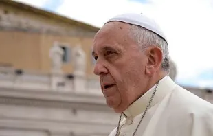 Papst Franziskus begrüßt Pilger auf dem Petersplatz bei der Generalaudienz am 28. Mai 2014. / CNA / Daniel Ibanez