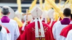 Papst Franziskus bei der heiligen Messe am Palmsonntag, 14. April 2019 / Daniel Ibanez / CNA Deutsch