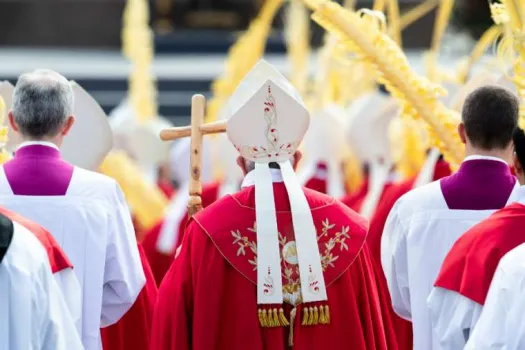 Papst Franziskus bei der heiligen Messe am Palmsonntag, 14. April 2019 / Daniel Ibanez / CNA Deutsch