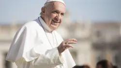 Papst Franziskus bei der Generalaudienz auf dem Petersplatz am 14. November 2018 / Marina Testino / CNA Deutsch