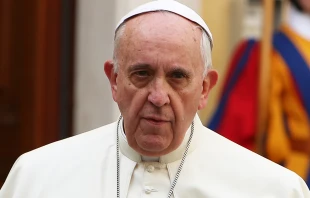 Papst Franziskus / CNA/Daniel Ibanez