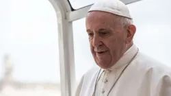 Papst Franziskus am 29. Mai 2019 / Daniel Ibanez / CNA Deutsch 