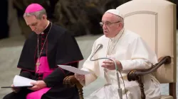 Papst Franziskus spricht bei der Generalaudienz am 10. Januar 2018 / Daniel Ibanez / CNA Deutsch