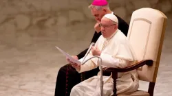 Papst Franziskus spricht zu Gläubigen und Zuhörern in der Audienzhalle am 8. August 2018. / Daniel Ibanez / CNA Deutsch