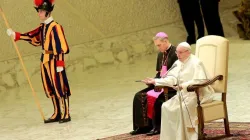 Papst Franziskus spricht zu den Gläubigen bei der Generalaudienz am 20. Januar 2016 / CNA/Daniel Ibanez