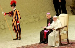 Papst Franziskus spricht zu den Gläubigen bei der Generalaudienz am 20. Januar 2016 / CNA/Daniel Ibanez