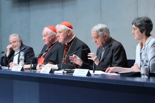 Die Vorstellung des Schreibens im Presse-Saal des Vatikans am 14. Juni 2016.  / CNA/Daniel Ibanez