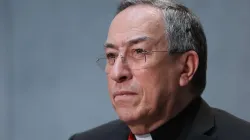Kardinal Maradiaga / CNA / Daniel Ibanez