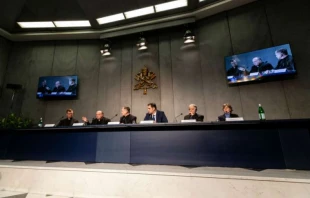 Pressekonferenz im Vatikan am 18. Februar / Daniel Ibanez / CNA Deutsch