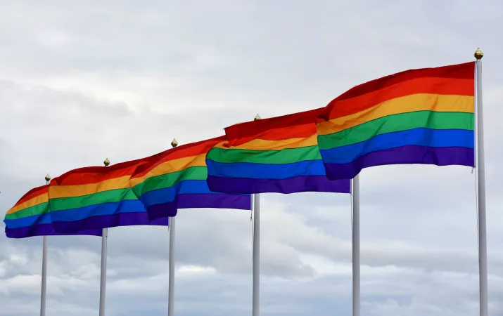Regenbogenflaggen (Referenzbild)