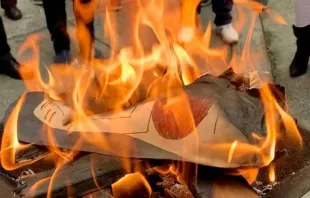Ein Bild der "Pachamama" wird in Mexiko-Stadt verbrannt / Pater Hugo Valdemar